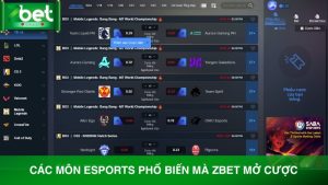 Các môn Esports phổ biến mà Zbet mở cược hiện nay